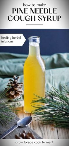 Explore how to make pine needle cough syrup and embrace the power of pine needle herbal remedies. This DIY guide provides a gateway to immune-boosting foods and natural remedies for those exploring healing herbal infusions. A soothing solution to a persistent cough!