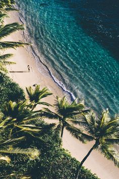 an aerial view of a beach with palm trees in the foreground and blue water