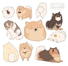 a group of dogs sitting next to each other on top of a white surface with speech bubbles