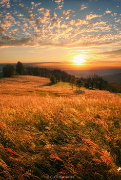 the sun is setting over a grassy hill