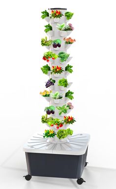 a vertical vegetable planter on wheels is shown in front of a white wall and black base