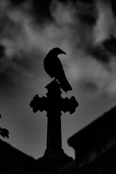 a black and white photo of a bird on top of a cross with clouds in the background