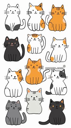 a bunch of cats that are all different colors