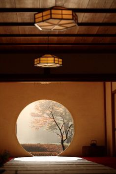 a room with a round window that has a tree in it