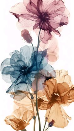 three different colored flowers are shown in this artistic photo, one is pink and the other is blue