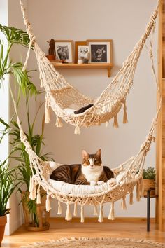 a cat laying in a hammock on the floor