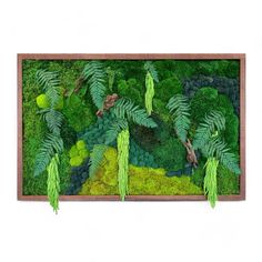 an aerial view of green plants and trees in a wooden frame on a white wall