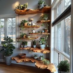 several wooden shelves filled with plants and potted plants on top of them in front of a window