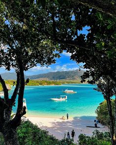 people are walking on the beach with boats in the water and trees around them,