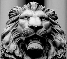 black and white photo of a lion head on the side of a building with columns in the background