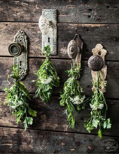 herbs are hanging on the wall next to an old door handle and knobs,