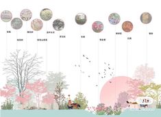 an image of the different kinds of flowers and trees in chinese text on a white background