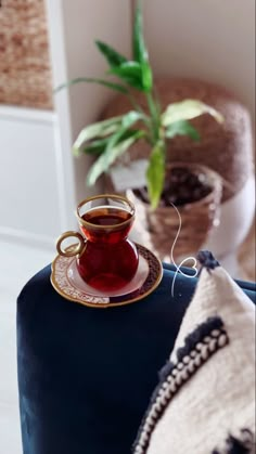 a cup of tea sitting on top of a blue cushion next to a potted plant