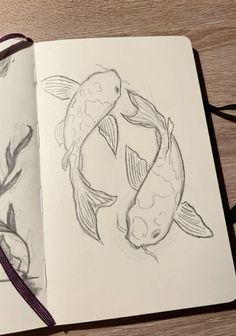 an open notebook with two drawings of koi fish