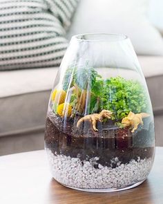 a glass vase filled with plants and rocks on top of a table next to a couch