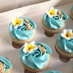 cupcakes with blue frosting and flowers on top