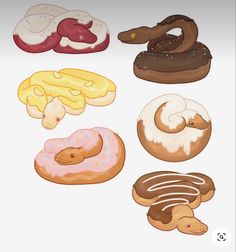 an assortment of donuts on a white background