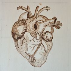 a drawing of a human heart on a piece of wood