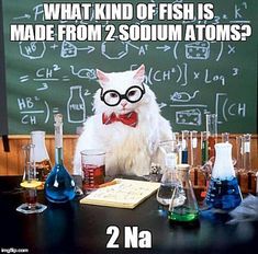 a white cat wearing glasses and bow tie sitting at a table with beakles in front of a blackboard