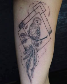 a tattoo with a bird on it