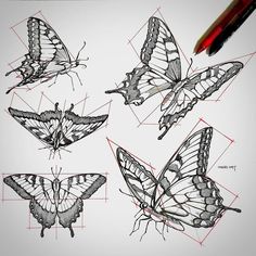 some drawings of butterflies and pencils on a white sheet with red lines in the middle