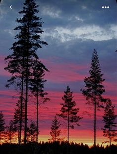 the sun is setting behind some tall trees