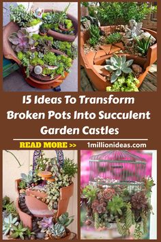 different types of plants in pots with text that reads 15 ideas to transform broken pots into succulent garden castles