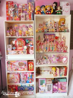 the shelves are filled with toys and other items for girls to play with in their room