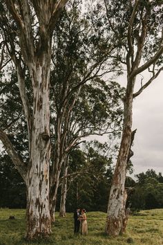 a couple standing next to each other in front of some trees on a lush green field