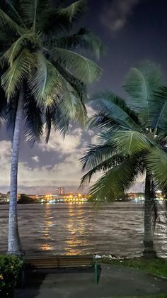 two palm trees are next to the water at night with city lights in the background