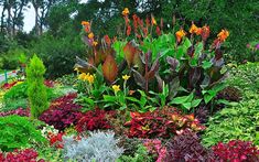 a garden filled with lots of different types of flowers and plants next to each other