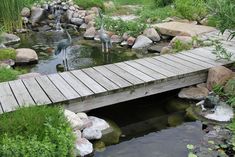 a wooden bridge over a small pond filled with water