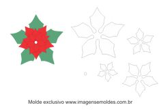 an image of a christmas poinsettia cut out from paper with the words molote excusuvo wn