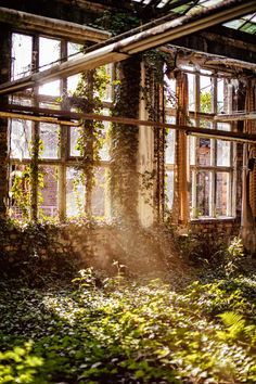 an abandoned building with lots of windows and ivy growing on the walls, covered in sunlight