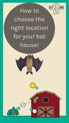 a bat flying over a red barn with the words how to choose the right location for your bat house