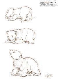 three polar bears are shown in this drawing lesson for beginners to learn how to draw them