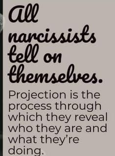 Narcissistic Mother, After Life, The Perfect Guy, A Quote