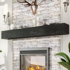 a fireplace with a deer head mounted above it