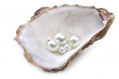 three pearls in an oyster shell on a white background