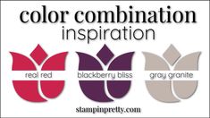 the logo for stamp pretty's color combinations is shown in three different colors