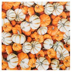 a large group of pumpkins sitting on top of each other