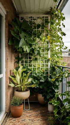 a balcony with potted plants on the side and an open door leading to another room