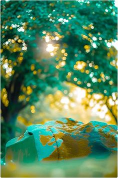 an umbrella sitting on the ground in front of a tree with sun shining through it