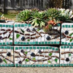 four planters are stacked on top of each other in front of some succulents