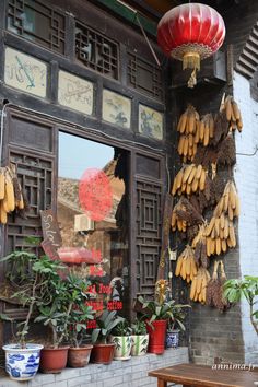 there are many bananas hanging on the wall in front of this storefront, with potted plants outside