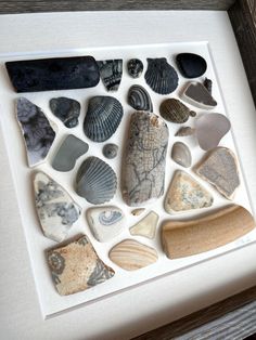 there are many different types of rocks in the frame on the table, including shells