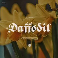 an image of daffodils with the word safffosc on it