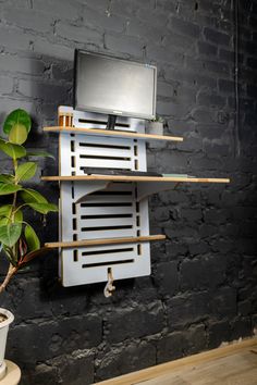 a potted plant sitting in front of a tv on a shelf next to a brick wall