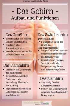 Psychology Careers, Health Cleanse, German Language Learning, Medical Knowledge, Learn German, Health Knowledge, Psychology Facts, Health Motivation, Neuroscience