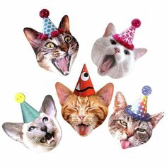 four cats wearing party hats with their mouths open